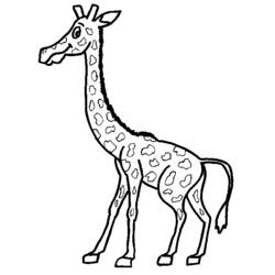 着色页: 长颈鹿 (动物) #7294 - 免费可打印着色页