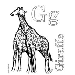 着色页: 长颈鹿 (动物) #7316 - 免费可打印着色页