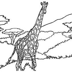 着色页: 长颈鹿 (动物) #7330 - 免费可打印着色页