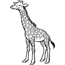 着色页: 长颈鹿 (动物) #7334 - 免费可打印着色页