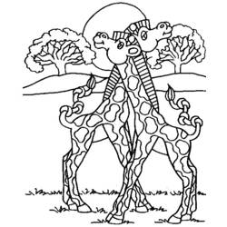 着色页: 长颈鹿 (动物) #7344 - 免费可打印着色页