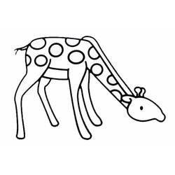 着色页: 长颈鹿 (动物) #7345 - 免费可打印着色页