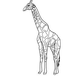着色页: 长颈鹿 (动物) #7362 - 免费可打印着色页