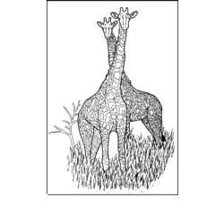 着色页: 长颈鹿 (动物) #7365 - 免费可打印着色页