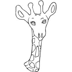 着色页: 长颈鹿 (动物) #7375 - 免费可打印着色页