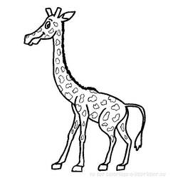 着色页: 长颈鹿 (动物) #7386 - 免费可打印着色页