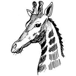 着色页: 长颈鹿 (动物) #7389 - 免费可打印着色页