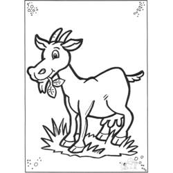 着色页: 山羊 (动物) #2384 - 免费可打印着色页