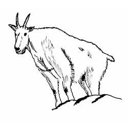 着色页: 山羊 (动物) #2386 - 免费可打印着色页