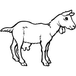 着色页: 山羊 (动物) #2408 - 免费可打印着色页