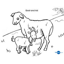着色页: 山羊 (动物) #2437 - 免费可打印着色页