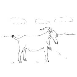 着色页: 山羊 (动物) #2474 - 免费可打印着色页