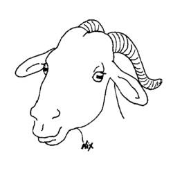 着色页: 山羊 (动物) #2479 - 免费可打印着色页