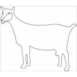 着色页: 山羊 (动物) #2489 - 免费可打印着色页