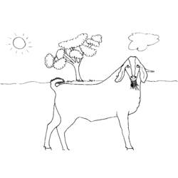 着色页: 山羊 (动物) #2495 - 免费可打印着色页
