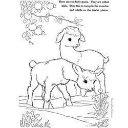 着色页: 山羊 (动物) #2520 - 免费可打印着色页