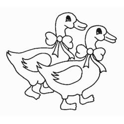 着色页: 鹅 (动物) #11665 - 免费可打印着色页
