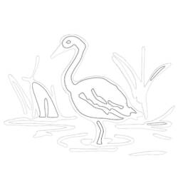 着色页: 鹅 (动物) #11675 - 免费可打印着色页