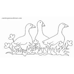 着色页: 鹅 (动物) #11676 - 免费可打印着色页