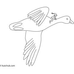 着色页: 鹅 (动物) #11731 - 免费可打印着色页