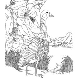着色页: 鹅 (动物) #11746 - 免费可打印着色页