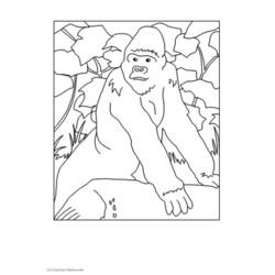 着色页: 大猩猩 (动物) #7451 - 免费可打印着色页