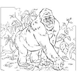 着色页: 大猩猩 (动物) #7455 - 免费可打印着色页
