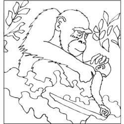 着色页: 大猩猩 (动物) #7498 - 免费可打印着色页
