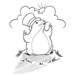 着色页: 土拨鼠 (动物) #10912 - 免费可打印着色页