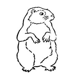 着色页: 土拨鼠 (动物) #10985 - 免费可打印着色页