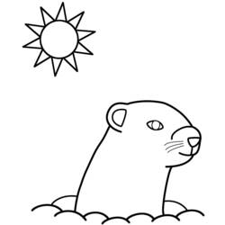 着色页: 土拨鼠 (动物) #10997 - 免费可打印着色页