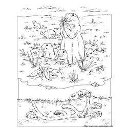 着色页: 土拨鼠 (动物) #11051 - 免费可打印着色页