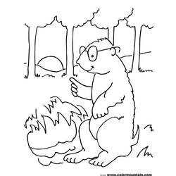 着色页: 土拨鼠 (动物) #11057 - 免费可打印着色页