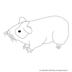 着色页: 豚鼠 (动物) #18495 - 免费可打印着色页