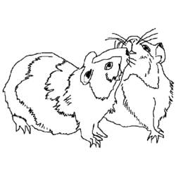 着色页: 豚鼠 (动物) #18500 - 免费可打印着色页