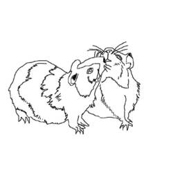 着色页: 豚鼠 (动物) #18547 - 免费可打印着色页