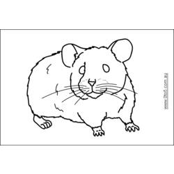 着色页: 仓鼠 (动物) #8103 - 免费可打印着色页
