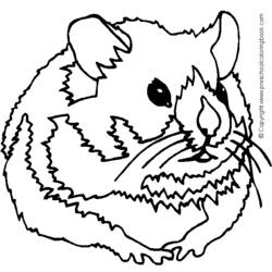 着色页: 仓鼠 (动物) #8139 - 免费可打印着色页