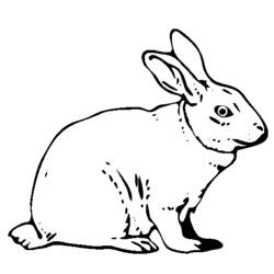 着色页: 野兔 (动物) #10077 - 免费可打印着色页