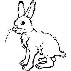 着色页: 野兔 (动物) #10098 - 免费可打印着色页