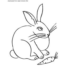 着色页: 野兔 (动物) #10124 - 免费可打印着色页