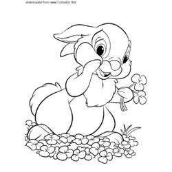 着色页: 野兔 (动物) #10126 - 免费可打印着色页