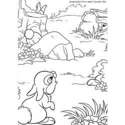 着色页: 野兔 (动物) #10133 - 免费可打印着色页