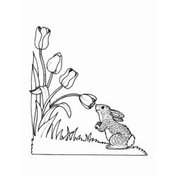 着色页: 野兔 (动物) #10138 - 免费可打印着色页