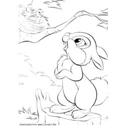 着色页: 野兔 (动物) #10143 - 免费可打印着色页
