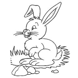 着色页: 野兔 (动物) #10224 - 免费可打印着色页
