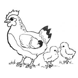 着色页: 母鸡 (动物) #17438 - 免费可打印着色页