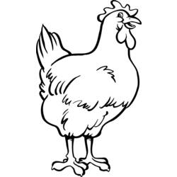 着色页: 母鸡 (动物) #17443 - 免费可打印着色页