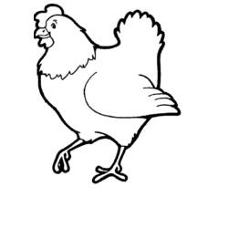着色页: 母鸡 (动物) #17448 - 免费可打印着色页