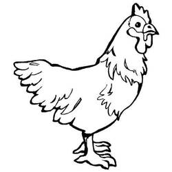 着色页: 母鸡 (动物) #17577 - 免费可打印着色页